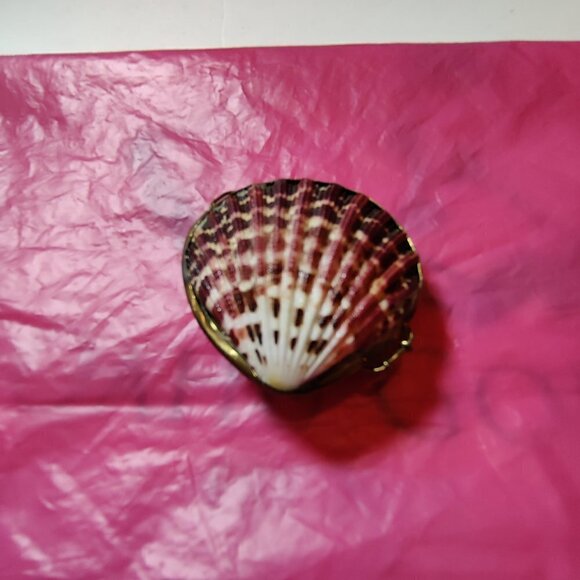 Seashell Trinket Box with Brass Trim. Used as a Pillbox, Perfume Sachet or coins - Picture 5 of 6